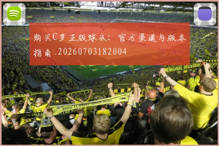 购买C罗正版球衣：官方渠道与版本指南_20260703182004