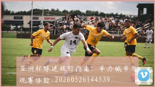 亚洲杯球迷旅行指南：举办城市与观赛体验_20260526144539