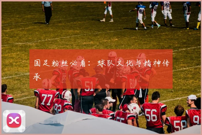 国足粉丝必看：球队文化与精神传承
